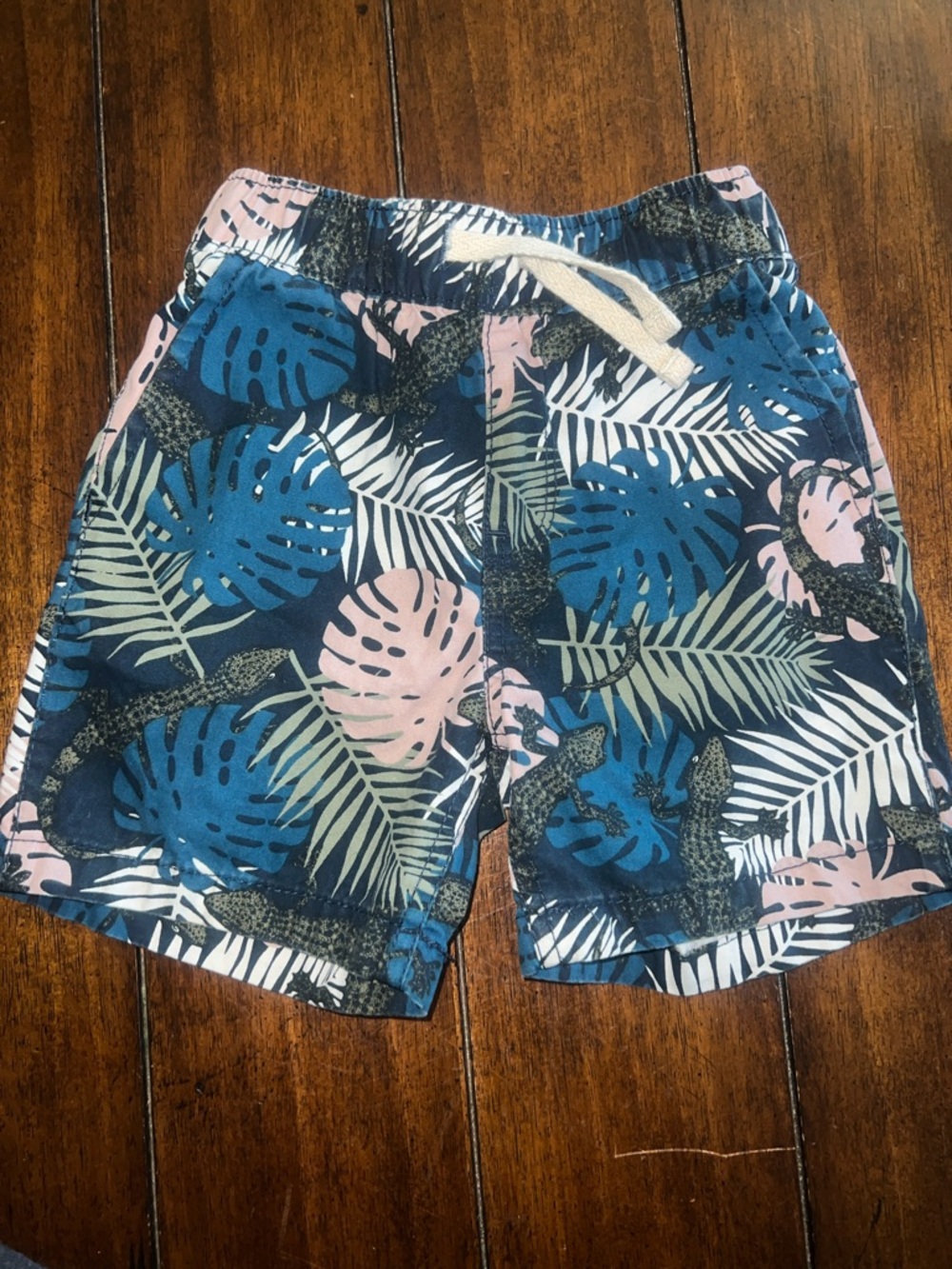 🎉🎉 5 for $20🎉Boys Tropical Leaf Print Shorts - Blue/Pink